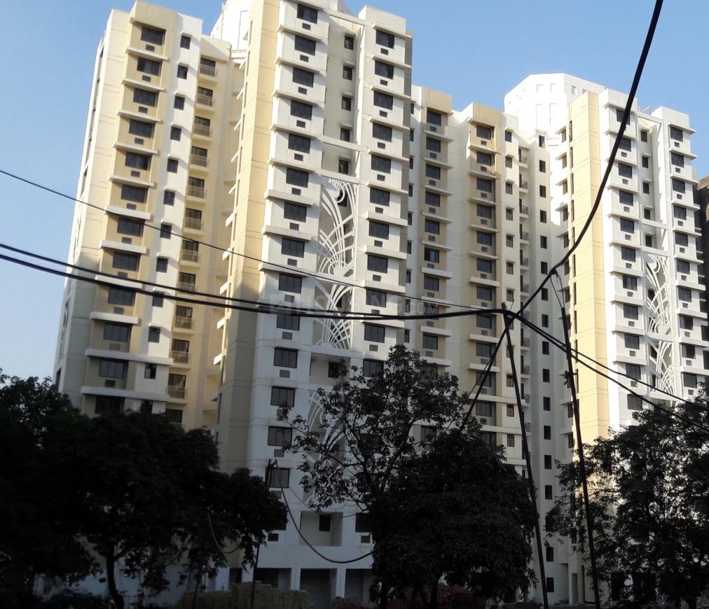 Nirmal City Kalyan Cypress B